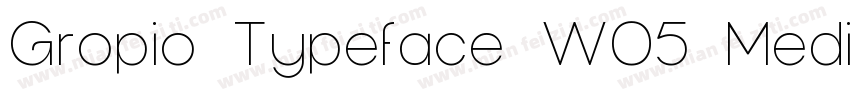 Gropio Typeface W05 Medium字体转换